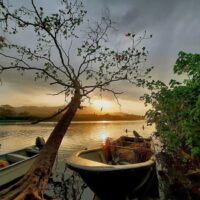 Tour a Palomino - Santa Marta