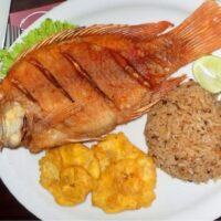 Tour a Palomino - Santa Marta