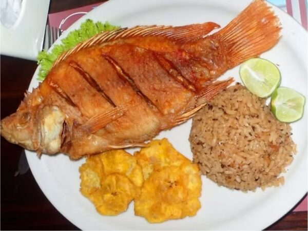 Tour a Palomino - Santa Marta