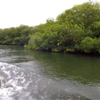 Combo Tour VIP + Buceo en San Andrés Islas