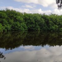 Promoción 2x1 Tour VIP – Johnny Cay, Acuario y Manglares en San Andrés