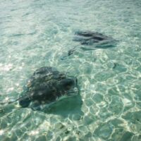 Combo Tour VIP + Buceo en San Andrés Islas