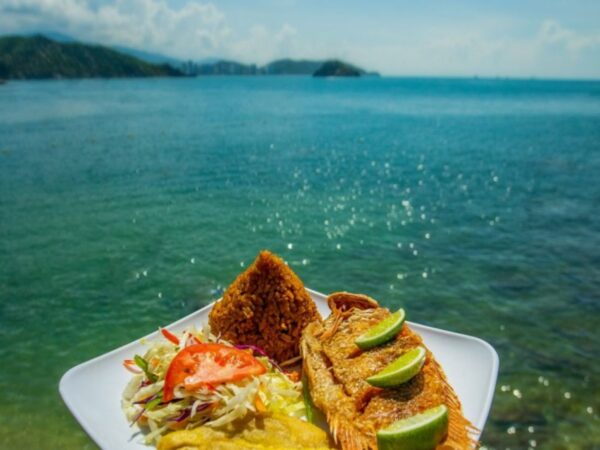 Tour Bahía en Catamarán – Santa Marta