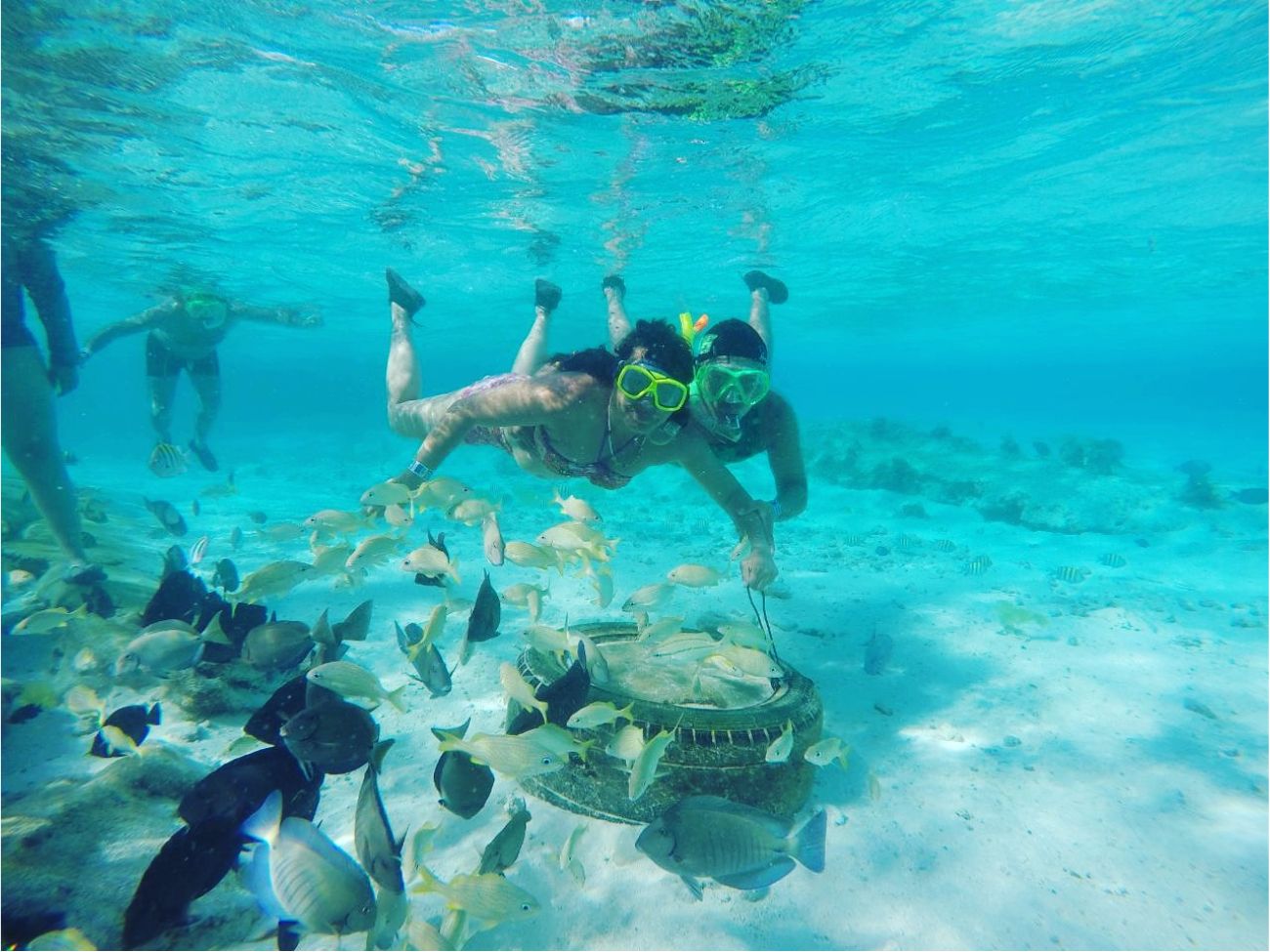 Acuario y Mantarrayas