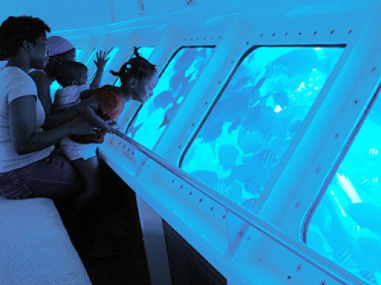 Ventanas Panorámicas