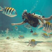 Promoción 2x1 Buceo en San Andrés
