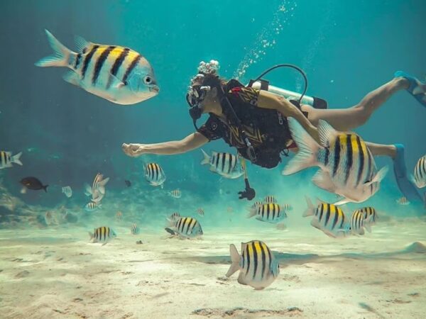 Promoción 2x1 Buceo en San Andrés